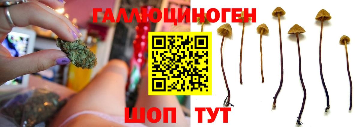 Узловая  Галлюциногенные грибы мухоморы  Вход с VPN 